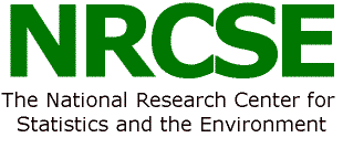The National Research Center for Statistics and the Environment